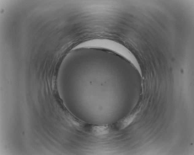 X0000076400139200610161214