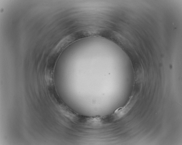 X0000076400140200610161214