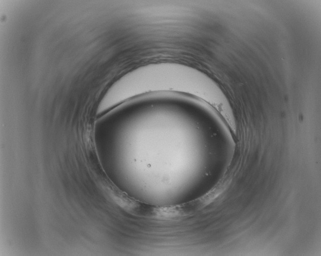 X0000076400141200610161214