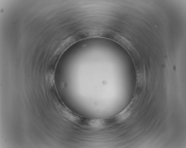 X0000076400142200610161214