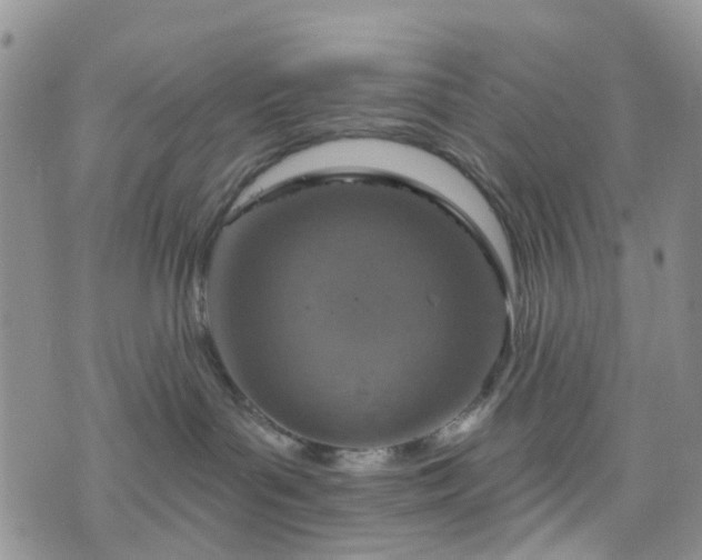 X0000076400143200610161214