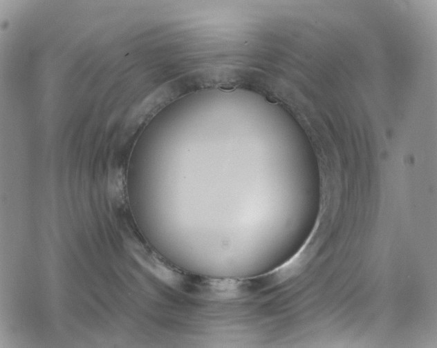 X0000076400144200610161214