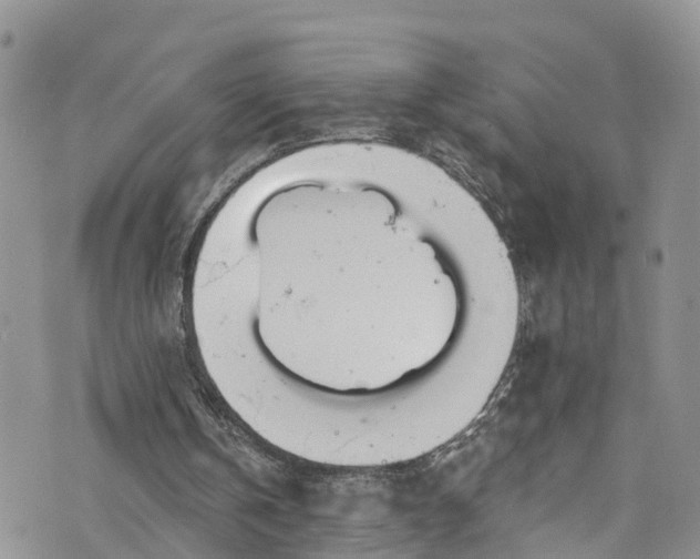 X0000076400146200610161213