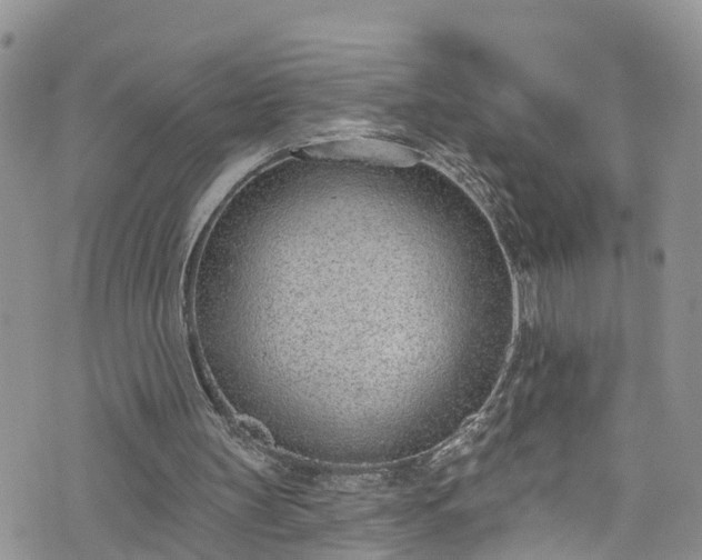 X0000076400147200610161214