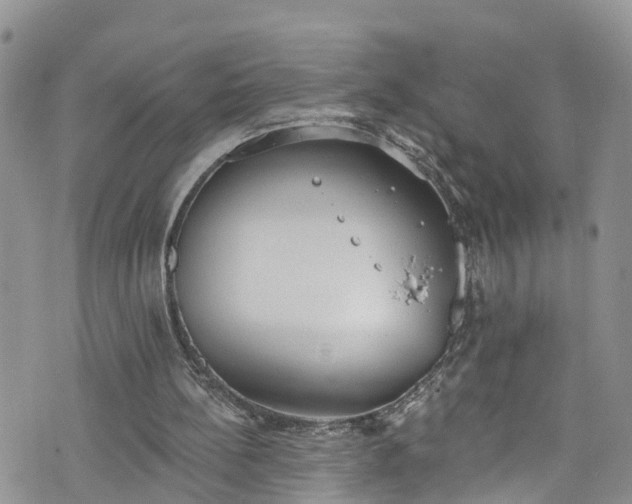 X0000076400148200610161214