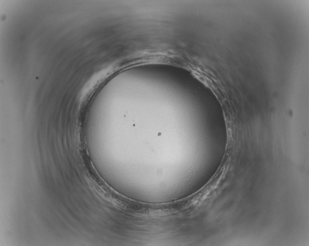 X0000076400149200610161214