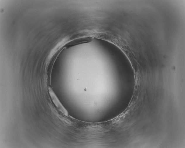 X0000076400150200610161214