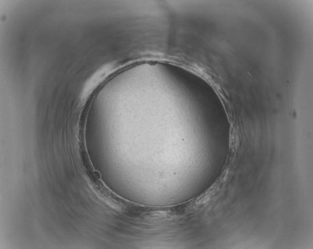 X0000076400151200610161214