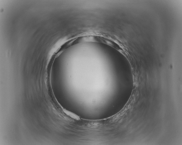 X0000076400152200610161214