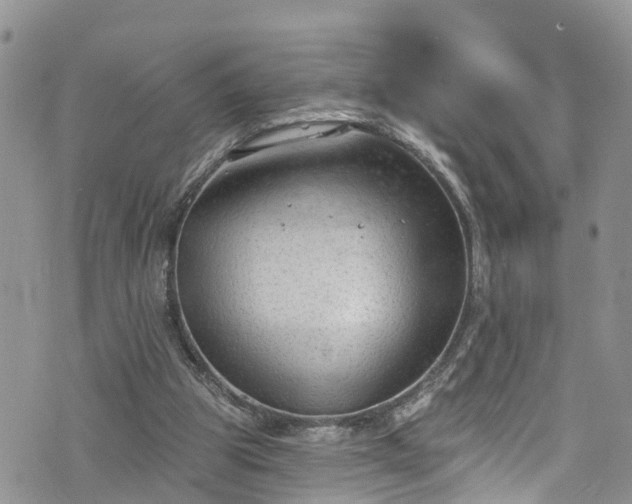 X0000076400153200610161214