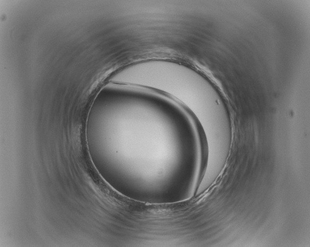 X0000076400154200610161214