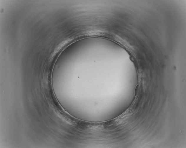 X0000076400155200610161214