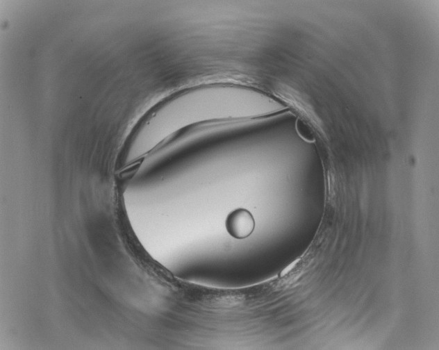 X0000076400156200610161214