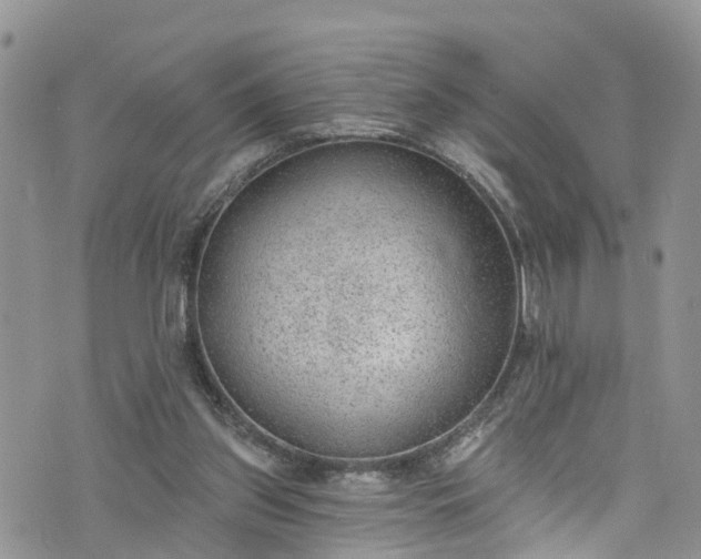 X0000076400157200610161214