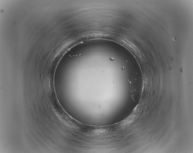 X0000076400158200610161214