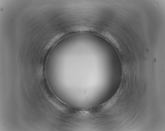 X0000076400159200610161214