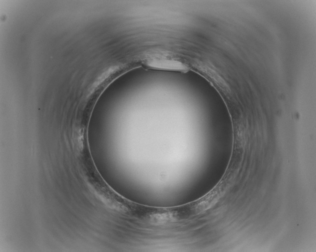 X0000076400160200610161214