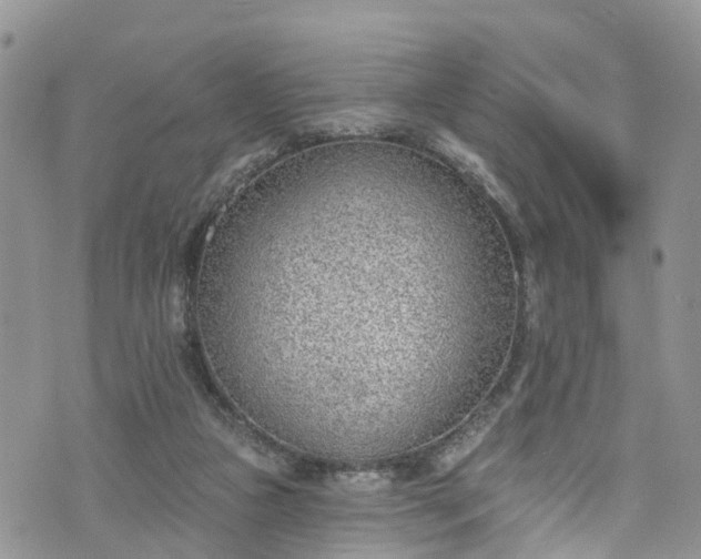 X0000076400161200610161214