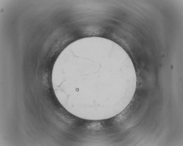 X0000076400162200610161214