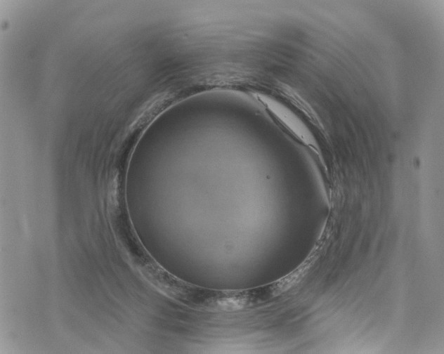 X0000076400163200610161214