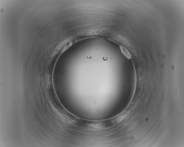 X0000076400164200610161214