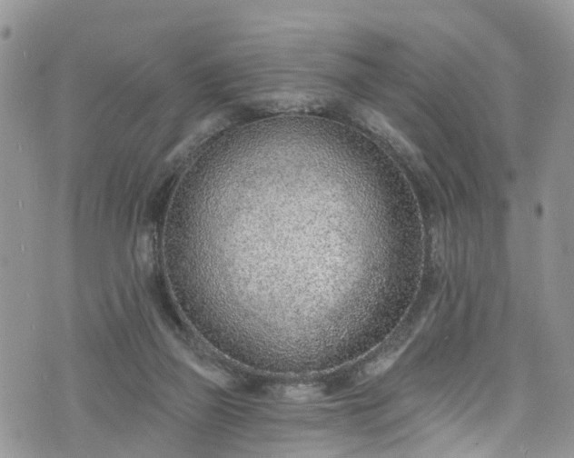 X0000076400165200610161214