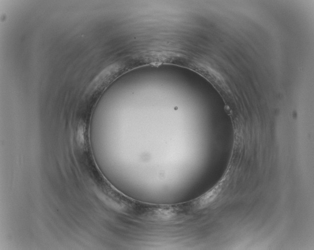 X0000076400166200610161214