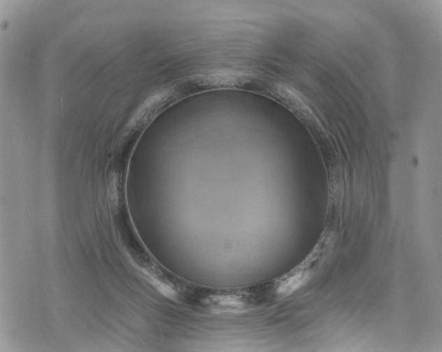 X0000076400167200610161214