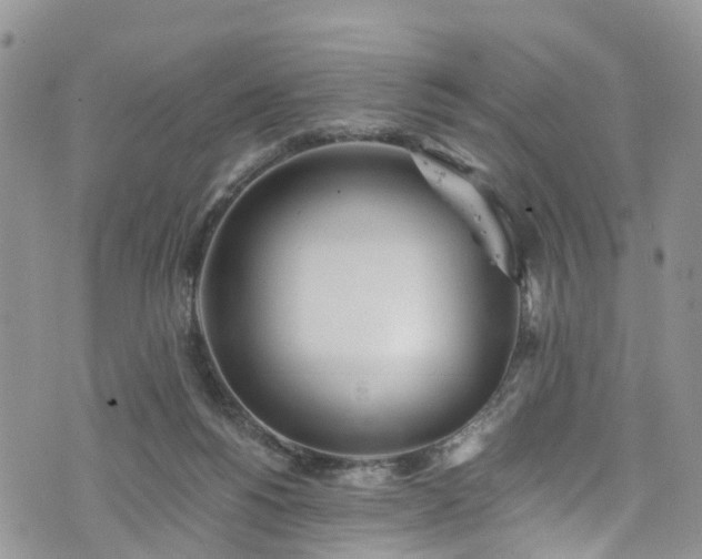 X0000076400168200610161214