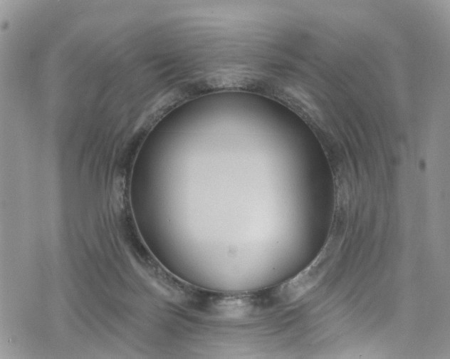 X0000076400171200610161214