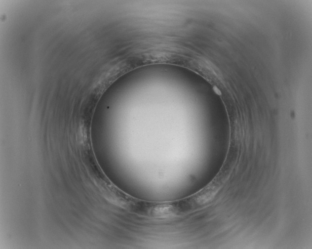 X0000076400173200610161214