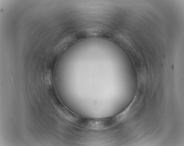 X0000076400174200610161214