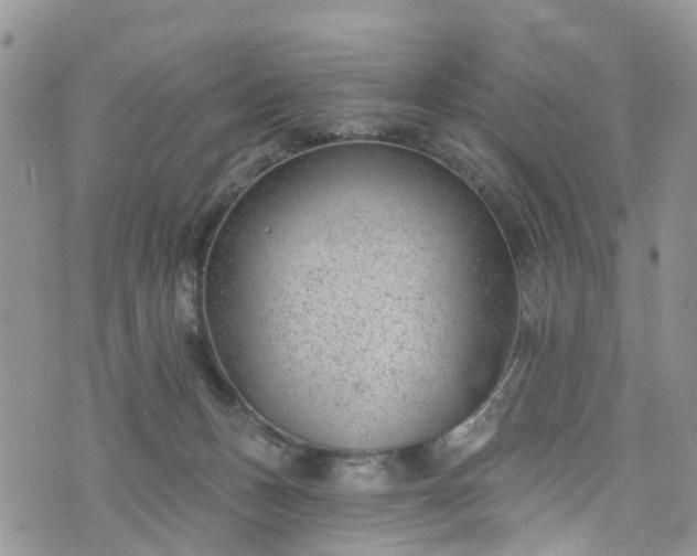 X0000076400175200610161214