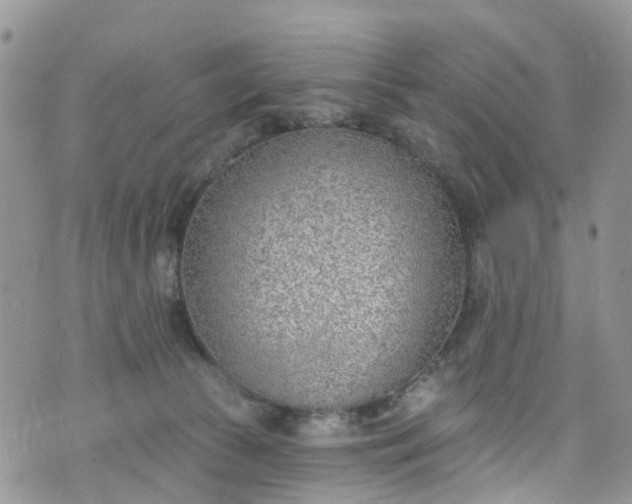 X0000076400177200610161214