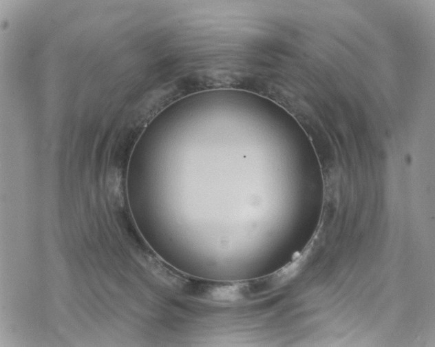 X0000076400178200610161214