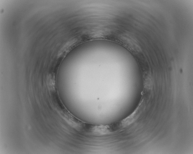 X0000076400179200610161214