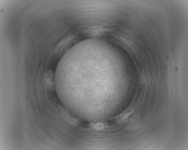 X0000076400181200610161214