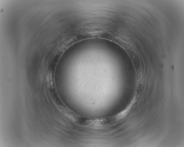 X0000076400182200610161214