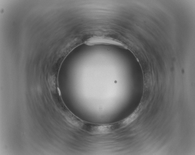 X0000076400184200610161214