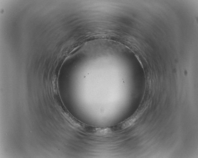 X0000076400185200610161214