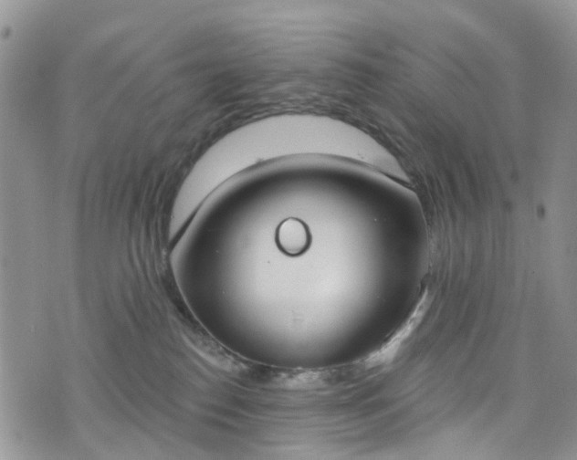 X0000076400186200610161214