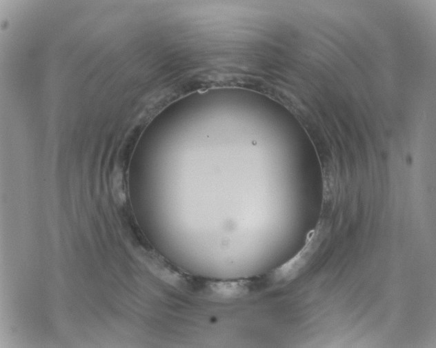 X0000076400187200610161214