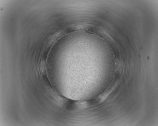 X0000076400189200610161214