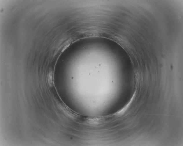 X0000076400190200610161214