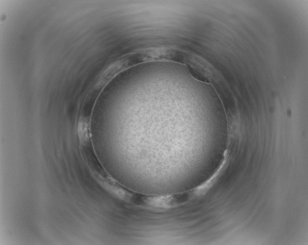 X0000076400191200610161214