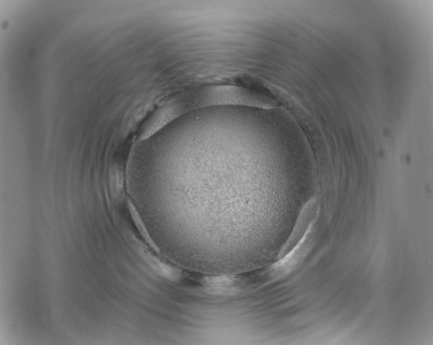 X0000076400192200610161214