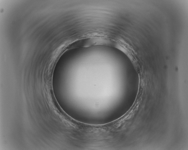 X0000076400193200610161213