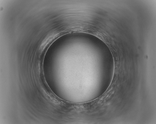 X0000076400194200610161213