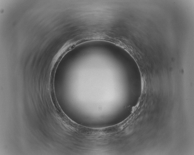 X0000076400195200610161213