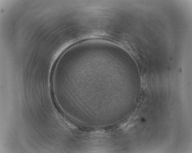 X0000076400196200610161213